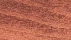 NOHRD Wallbars Sprossenwand Clubsport, 10 Sprossen