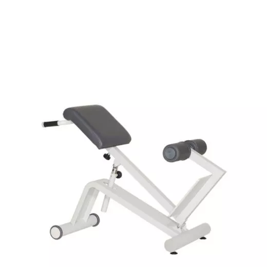 DYNAMED Lateral- /Lumbal-Trainer (VERSANDKOSTEN AUF ANFRAGE)