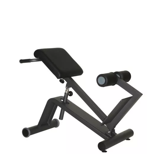 DYNAMED Lateral- /Lumbal-Trainer (VERSANDKOSTEN AUF ANFRAGE)