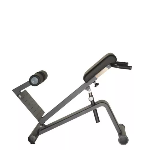 DYNAMED Lateral- /Lumbal-Trainer (VERSANDKOSTEN AUF ANFRAGE)