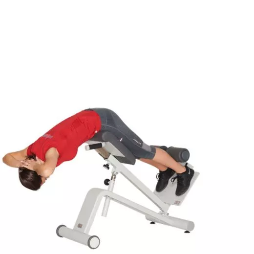 DYNAMED Lateral- /Lumbal-Trainer (VERSANDKOSTEN AUF ANFRAGE)