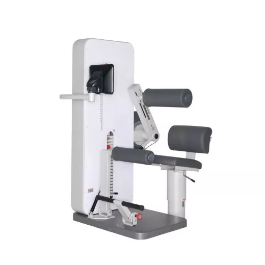 Dynamed Rcken- / Bauchtrainer Kombi (VERSANDKOSTEN AUF ANFRAGE)