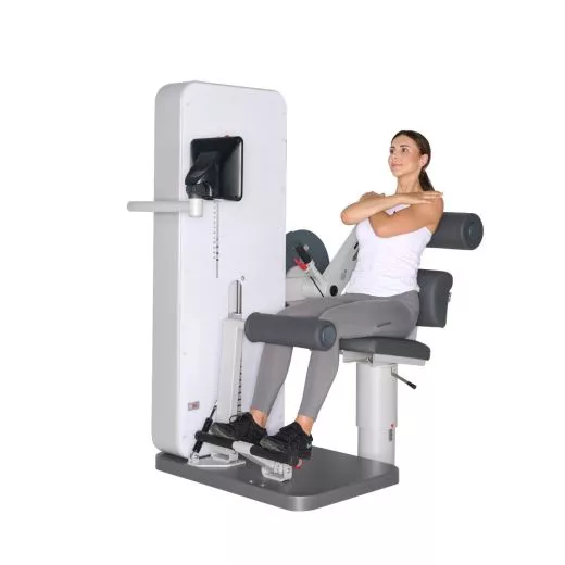 Dynamed Rcken- / Bauchtrainer Kombi (VERSANDKOSTEN AUF ANFRAGE)