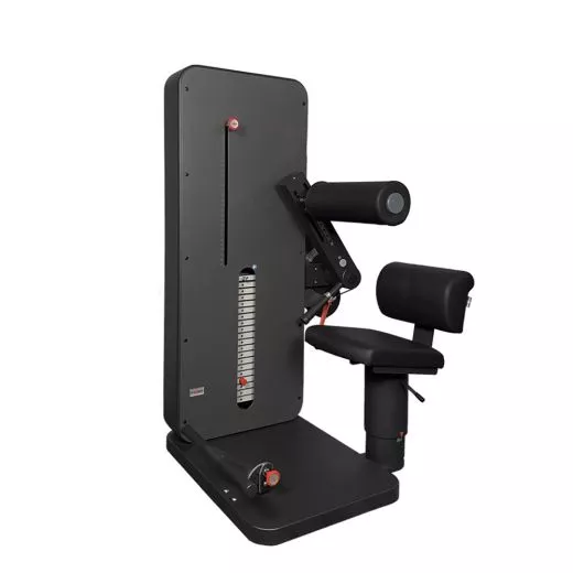 Dynamed Rcken- / Bauchtrainer Kombi (VERSANDKOSTEN AUF ANFRAGE)