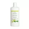 Cosimed Masagelotion Gingko-Limette 1 Liter und 5 Liter