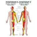 LEHRTAFEL 50 x 70 CM Physiotherapie V, LAMINIERT (HAUTINNERVATION)