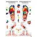 LEHRTAFEL 50 x 70 CM Physiotherapie VII, laminiert (REFLEXZONEN FUSS)