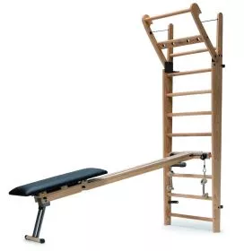 CombiTrainer fr Wallbar Sprossenwnde (Verschiedene Ausfhrungen)