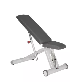 DYNAMED TRAININGSBANK - KOMBI (VERSANDKOSTEN AUF ANFRAGE)