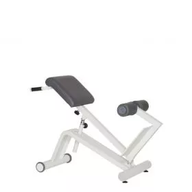 DYNAMED Lateral- /Lumbal-Trainer (VERSANDKOSTEN AUF ANFRAGE)