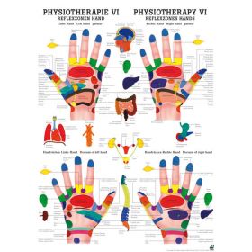 LEHRTAFEL 50 x 70 CM Physiotherapie VI, LAMINIERT (REFLEXZONEN HAND)