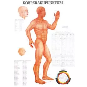 LEHRTAFEL 70 x 100 CM Krperakupunktur I (Laminiert)