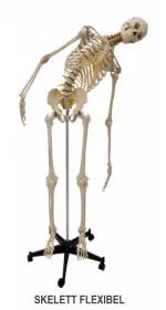 FLEXIBLES SKELETT A200.2 & MINI SKELETT FLEXIBEL MI200.2