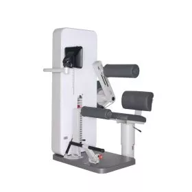 Dynamed Rcken- / Bauchtrainer Kombi (VERSANDKOSTEN AUF ANFRAGE)