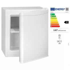 Gefrierbox mit 2 Gefrierfchern (31 Liter)